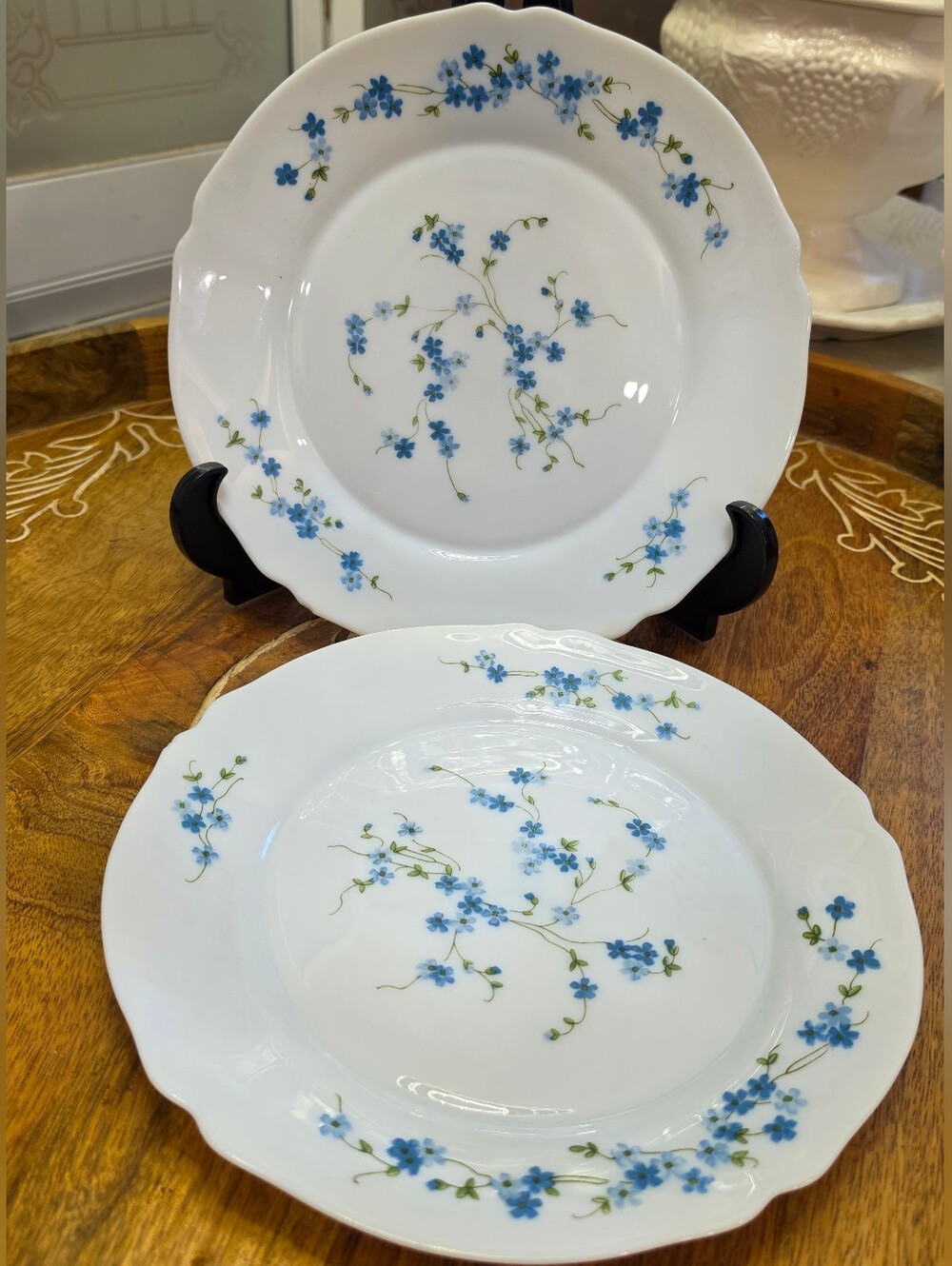 Vintage Arcopal France Veronica Dinner Plates Set of 2 Scalloped Blue Flowers 10
